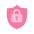 security-icon-2