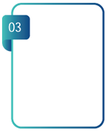 flip1