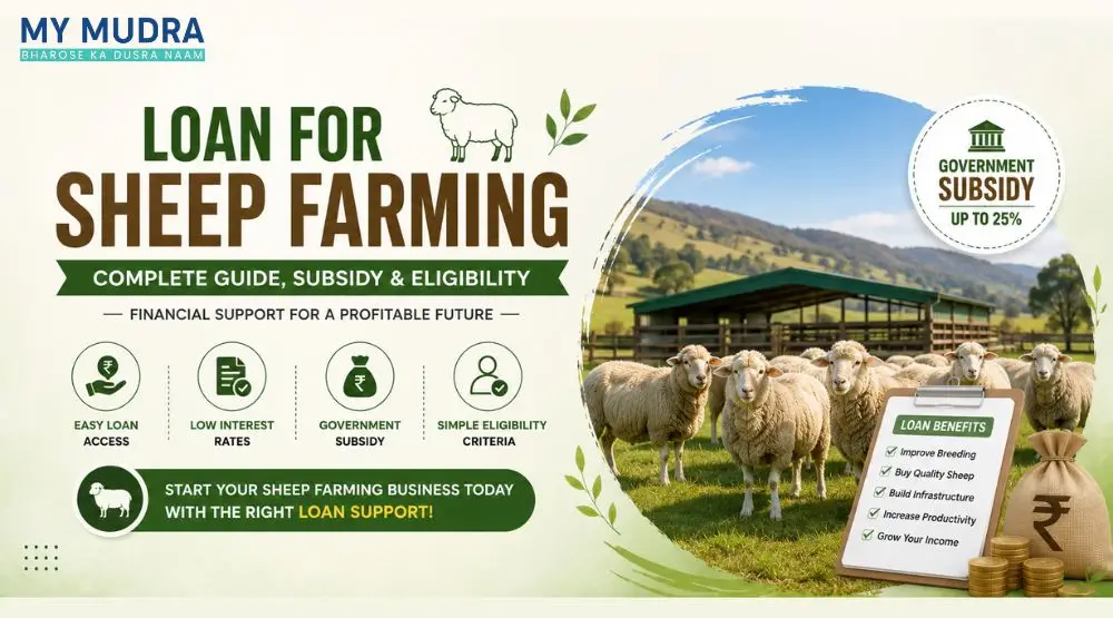 Loan for Sheep Farming – Complete Guide, Subsidy & Eligibility